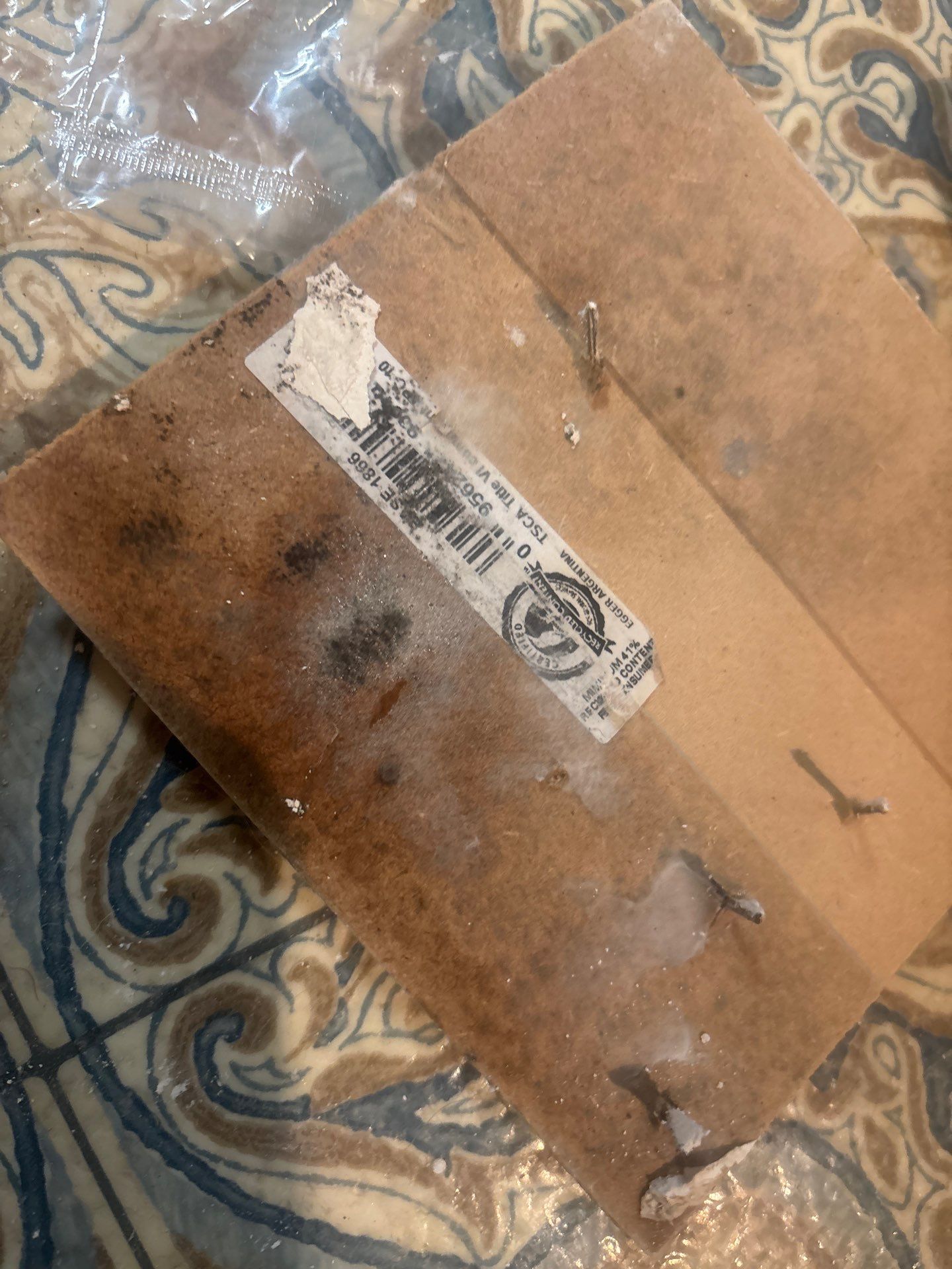 Black Mold Removal In Venice Florida by Ampm Restoration Services