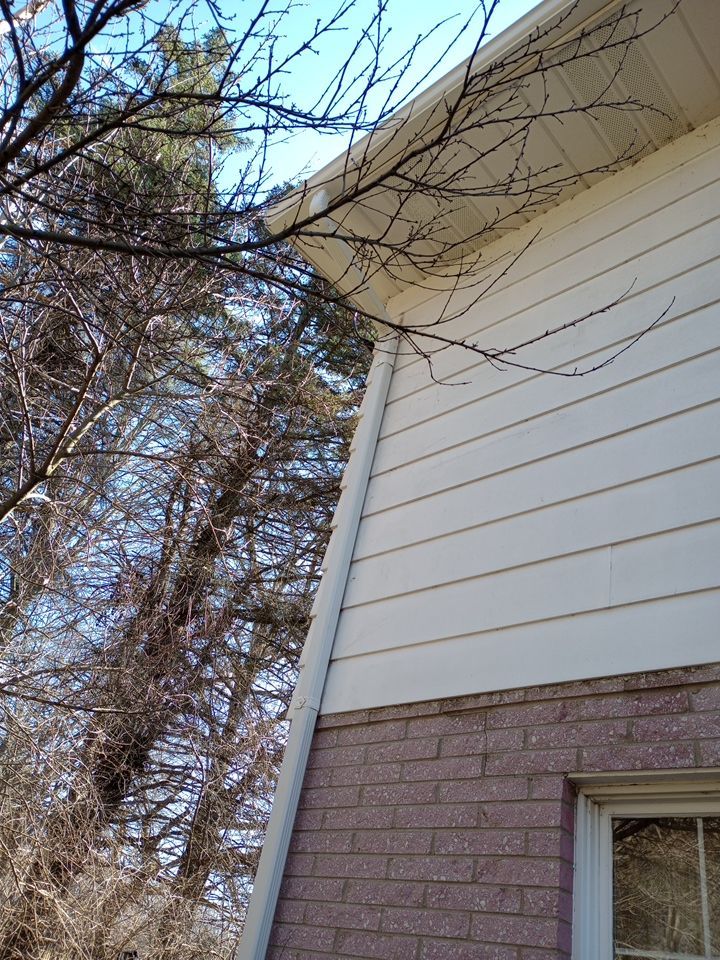 Rosemary Shaheen by Silver Leaf Contracting 