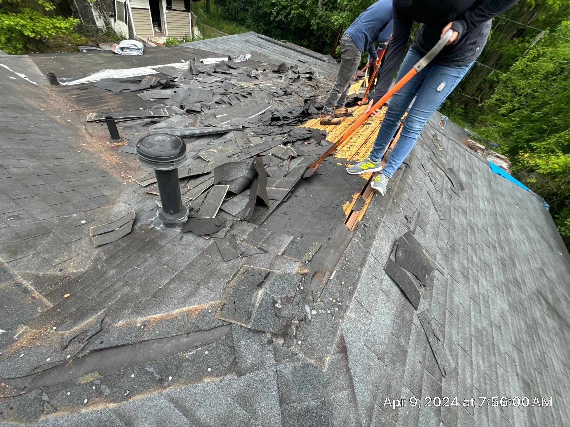 Superior Roofing Solutions: Atlas Pinnacle Pristine Installation by Talya Roofing