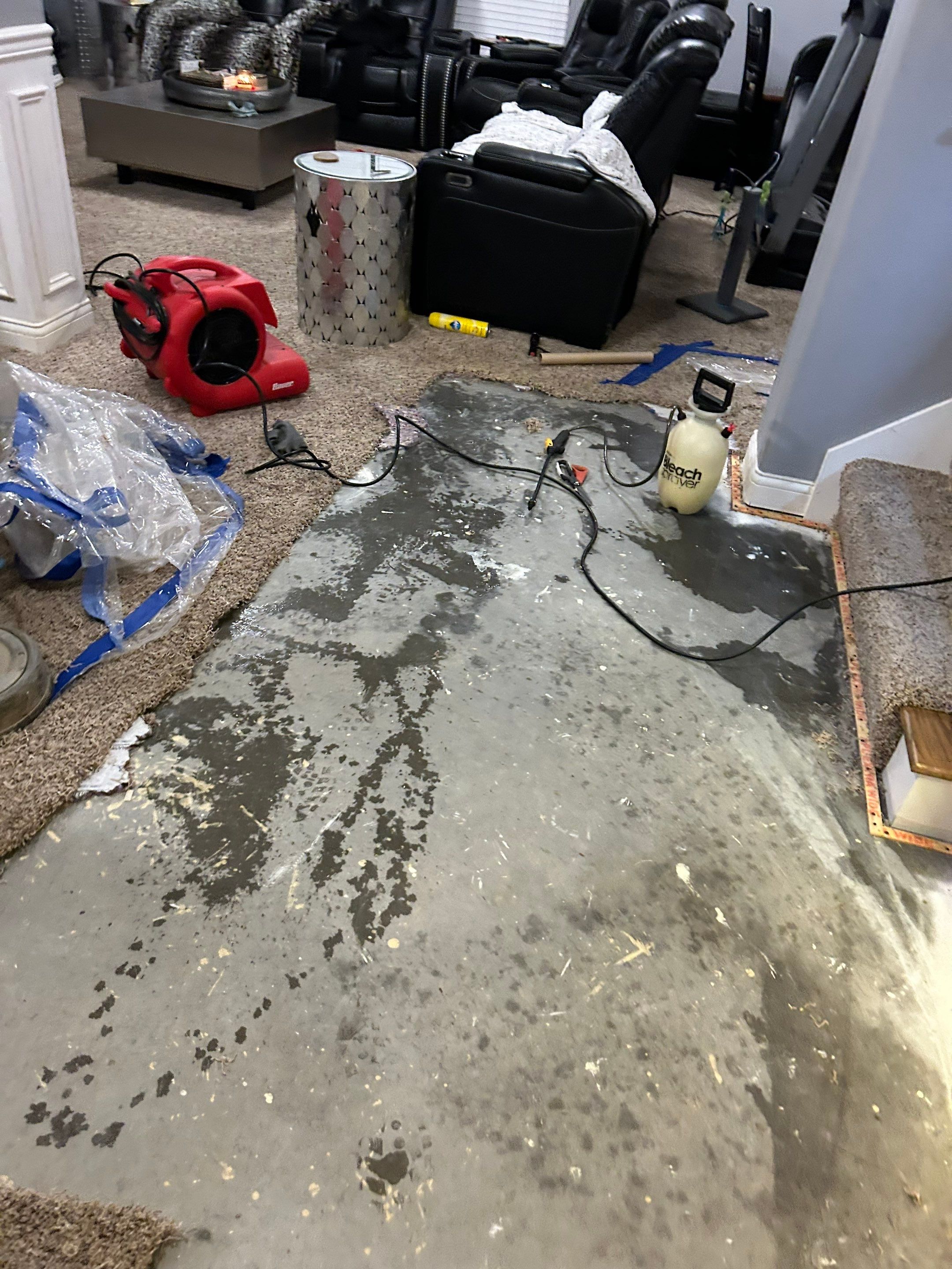 EMS Sewage Cleanup in Memphis, IN by ANR Restoration