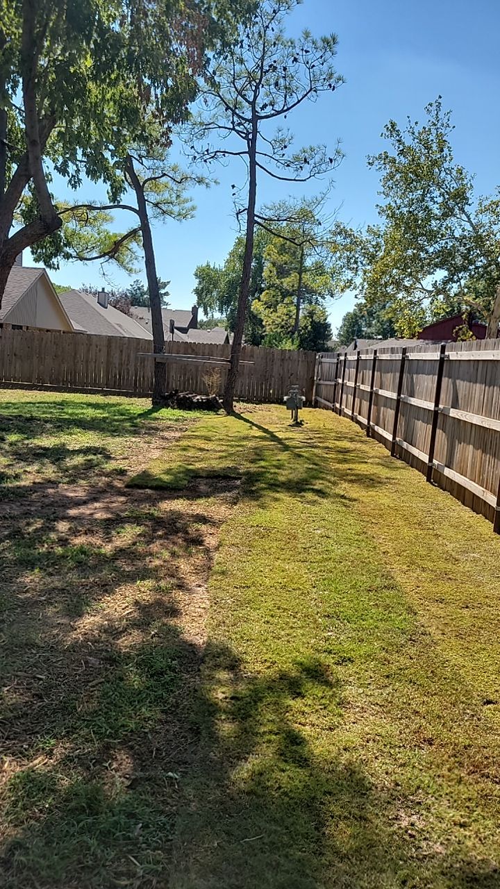 Tree removal , Concrete, Pergola, and sod install  by Clays Services Inc