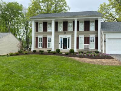 Landscape Design and Cleanup