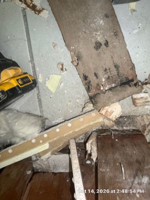 Water Damage Restoration — Naples, FL
