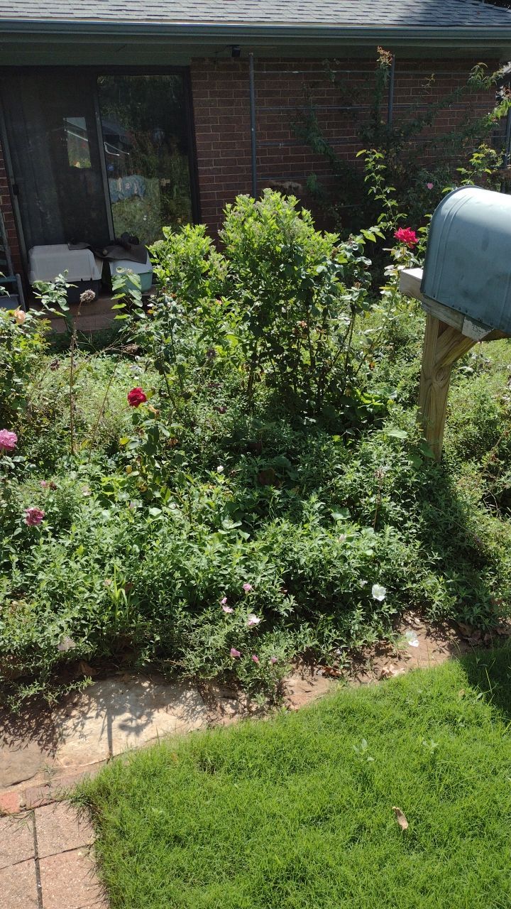 Project in Oklahoma City by PRO-ROOTER