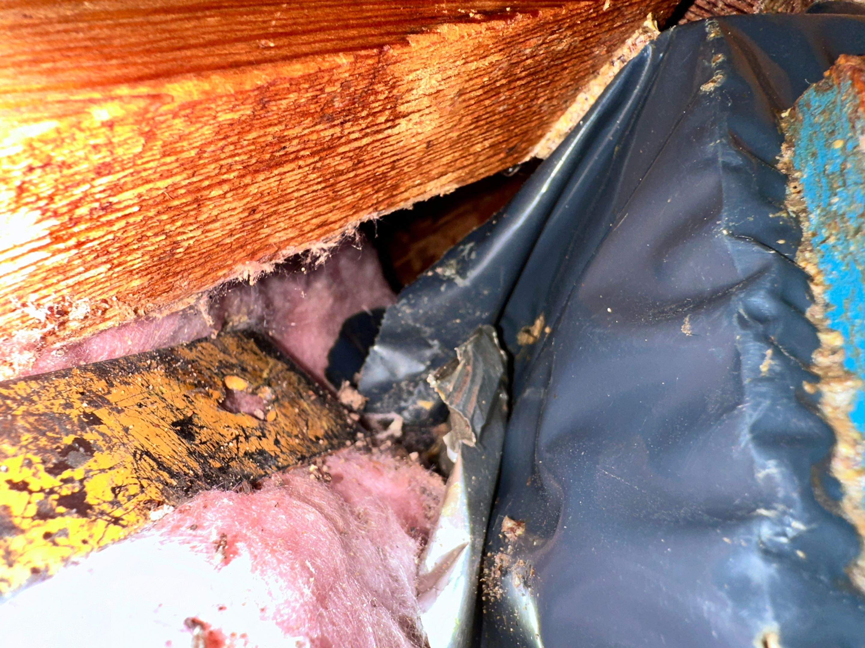 Elevated by Rockwall Honey Bee Company