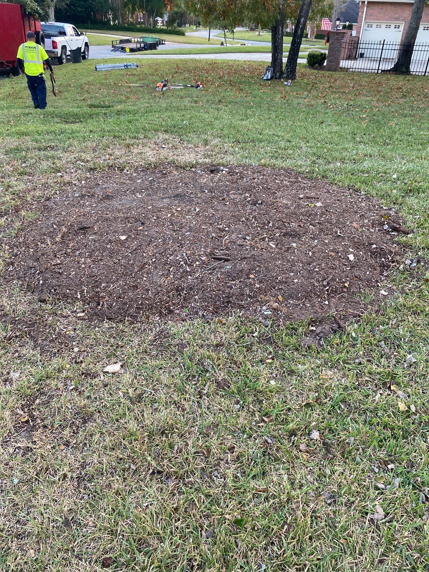 Deerwood Resident | Tree Removal & Shrub Shaping by ProGreen Services