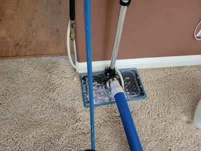 Subsurface Pet Treatment, Carpet Cleaning