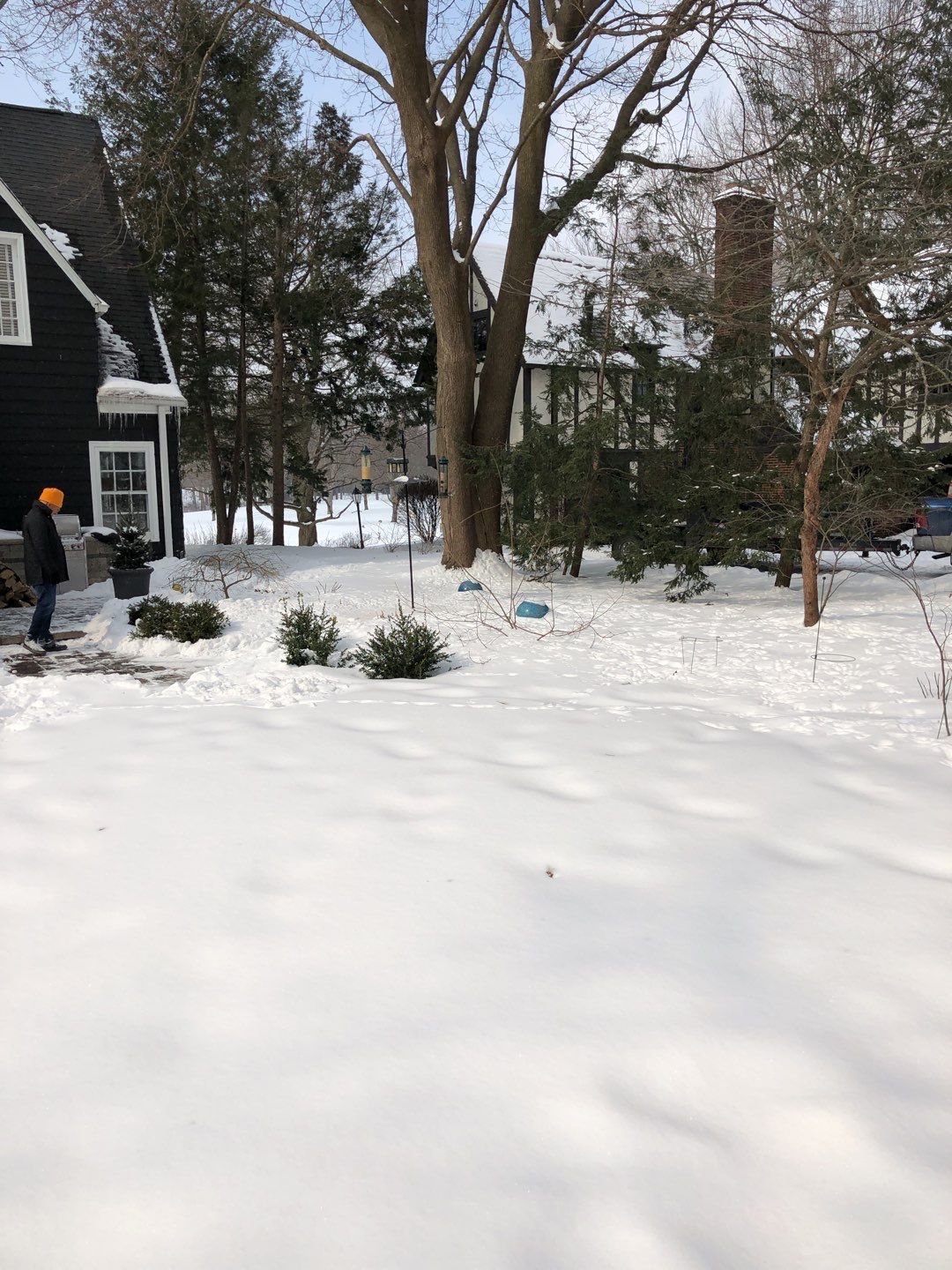 Firewood Delivery  using Seasoned Firewood by Mike Jones & Sons Tree Service LLC 