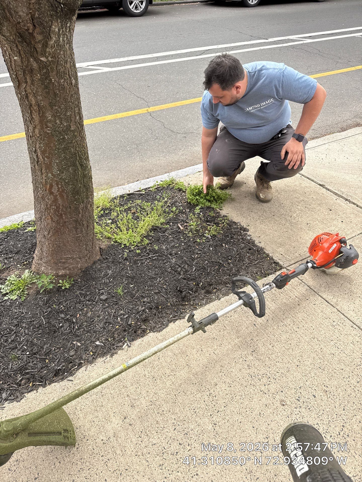 Commercial Property Cleanup and Landscape Maintenance in New Haven by Diamond Image LLC