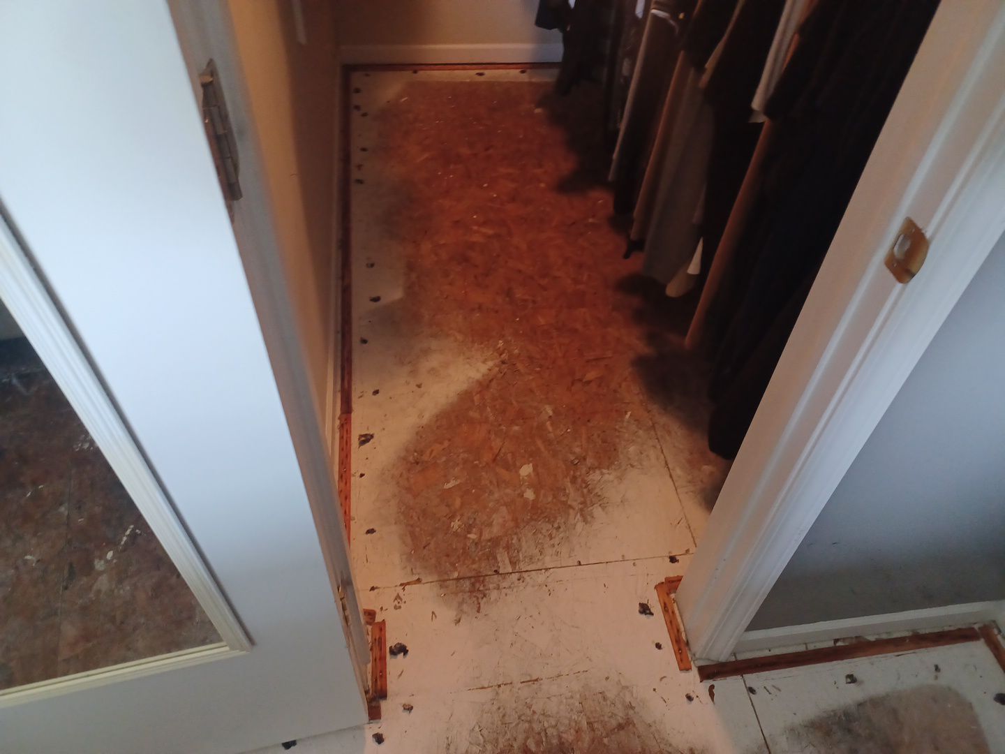 Project in Grand Blanc by EzDry Water Mitigation & Property Restoration