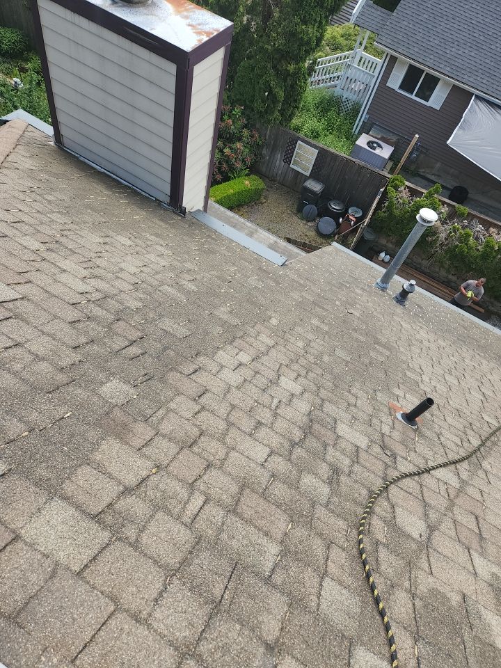 Moss Treatment using Biocide by Willamette Outdoor Wash LLC