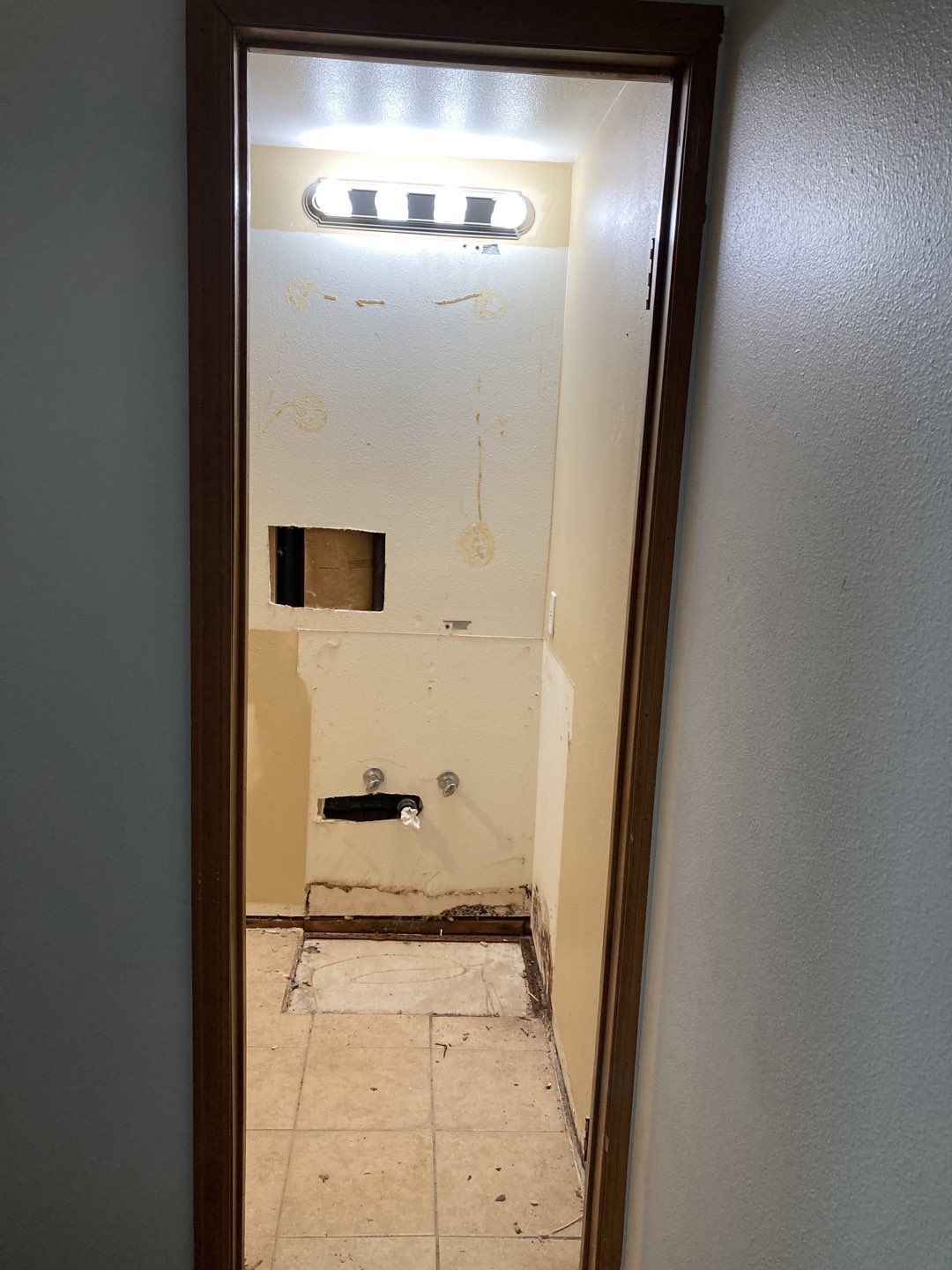 Mold Remediation by Accountable Home Services