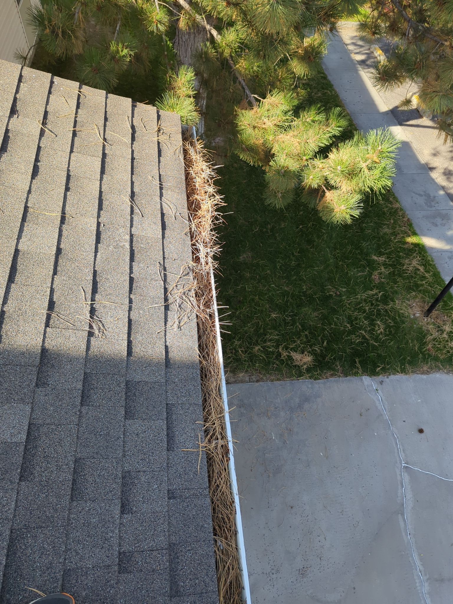 Commercial gutter cleaning Billings, MT before photo with filled gutters