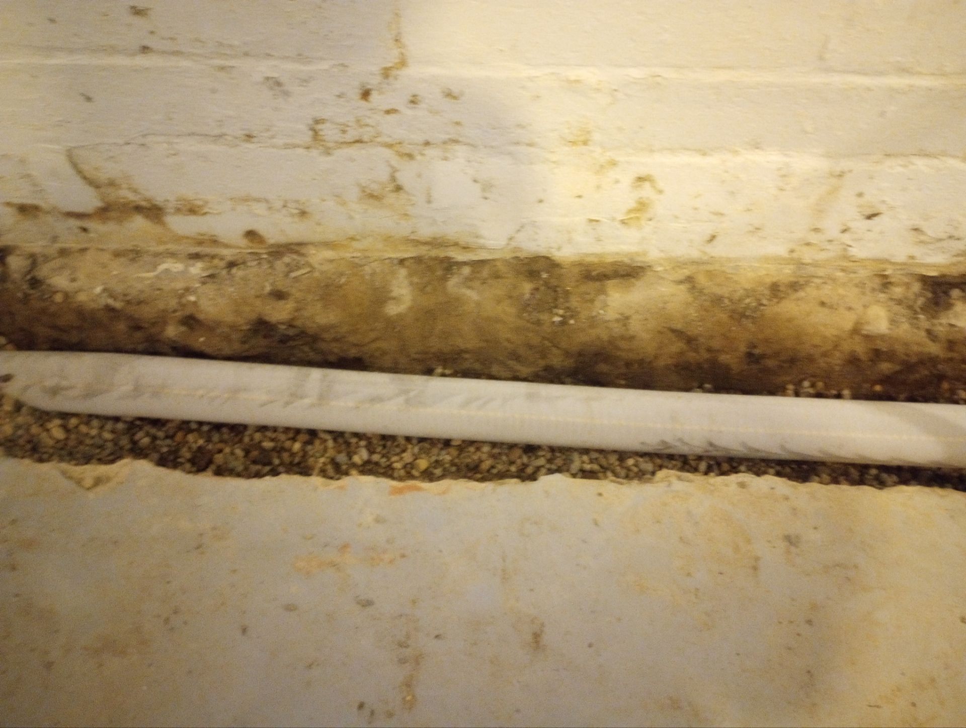 Giving Joseph Peace of Mind Before His Remodel by Waterproofing Northeast