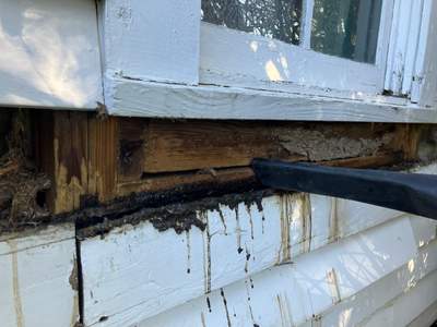 Yellowjackets at City Park