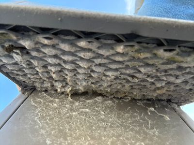 Air Duct and Dryer Vent Cleaning in Groveland