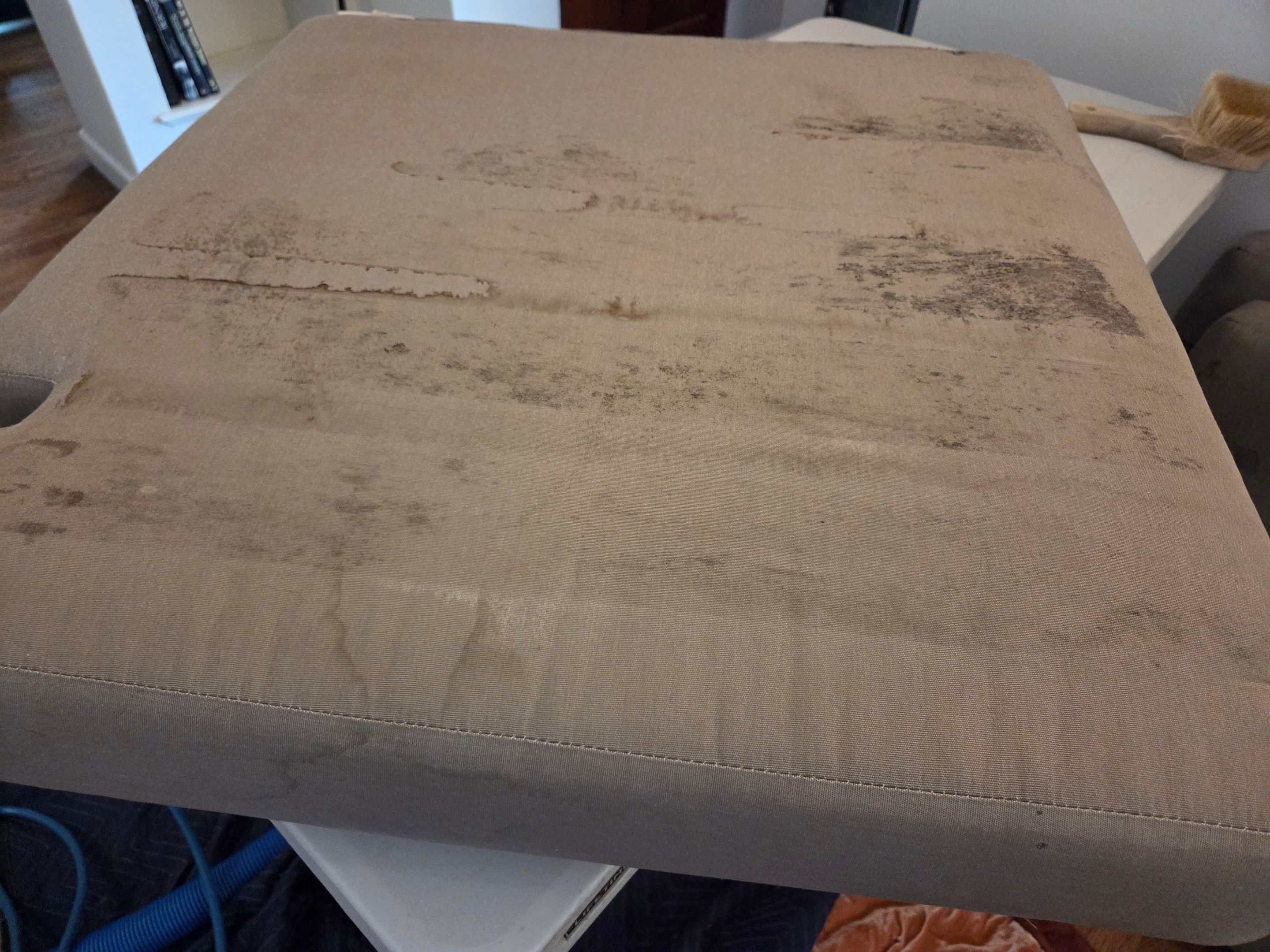 Upholstery Cleaning of Velvet Sofa in East Sac by Ardent Carpet Restore LLC