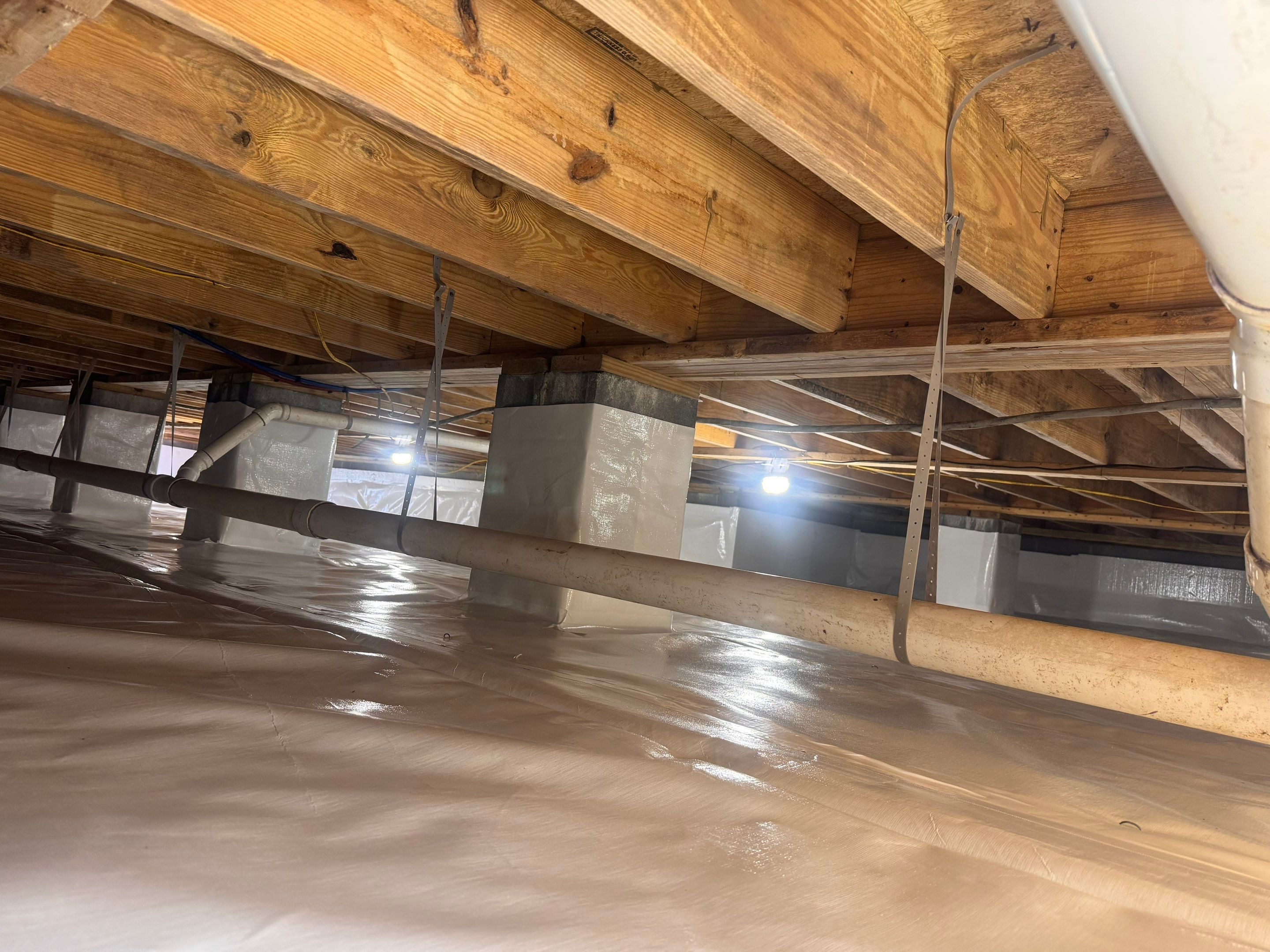 Premium Encapsulation with 20Mil, Borafoam insulation and Light System. by Impact Crawlspace