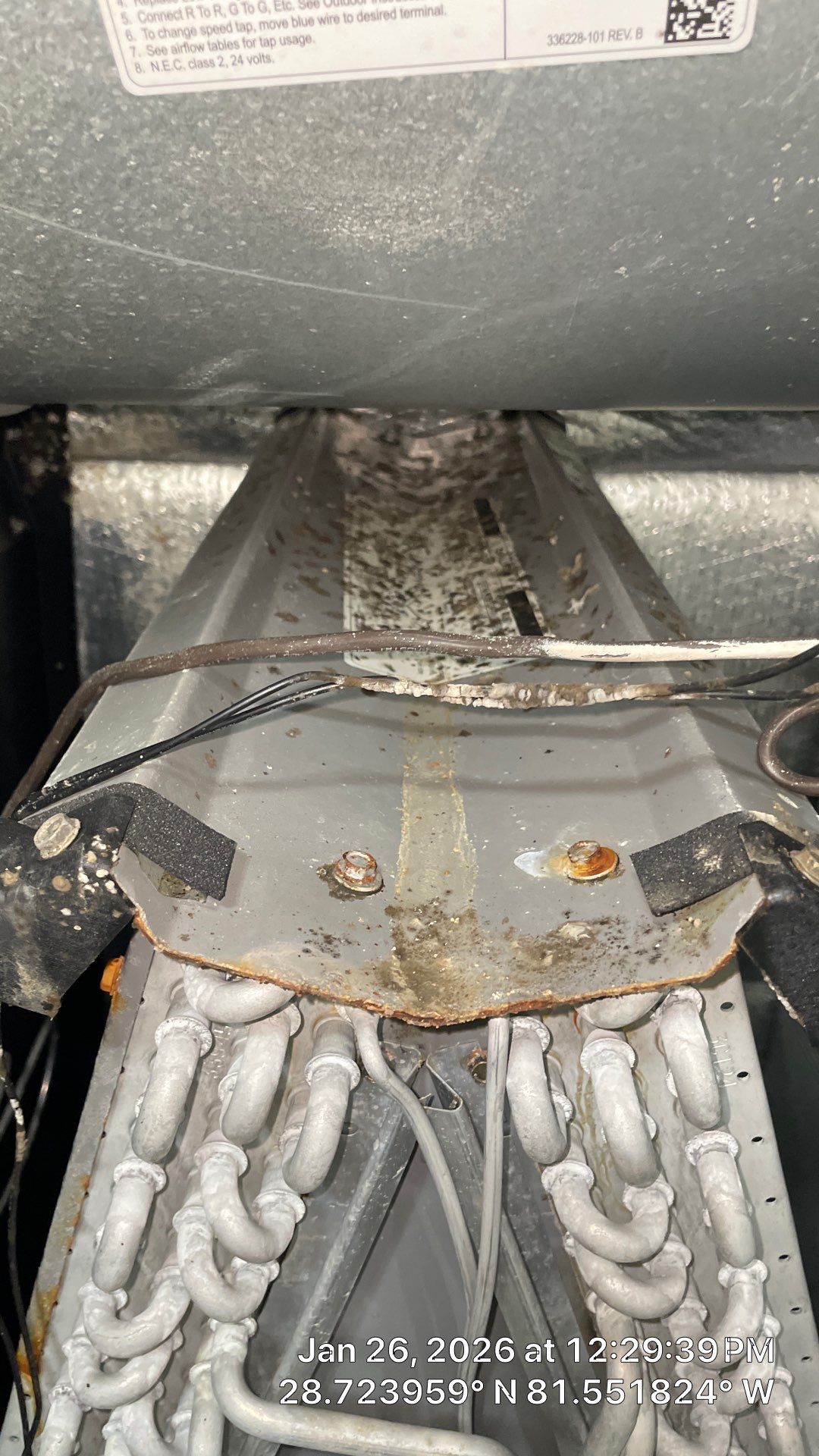 Air Duct Cleaning in Apopka by Hygienic Air, Inc