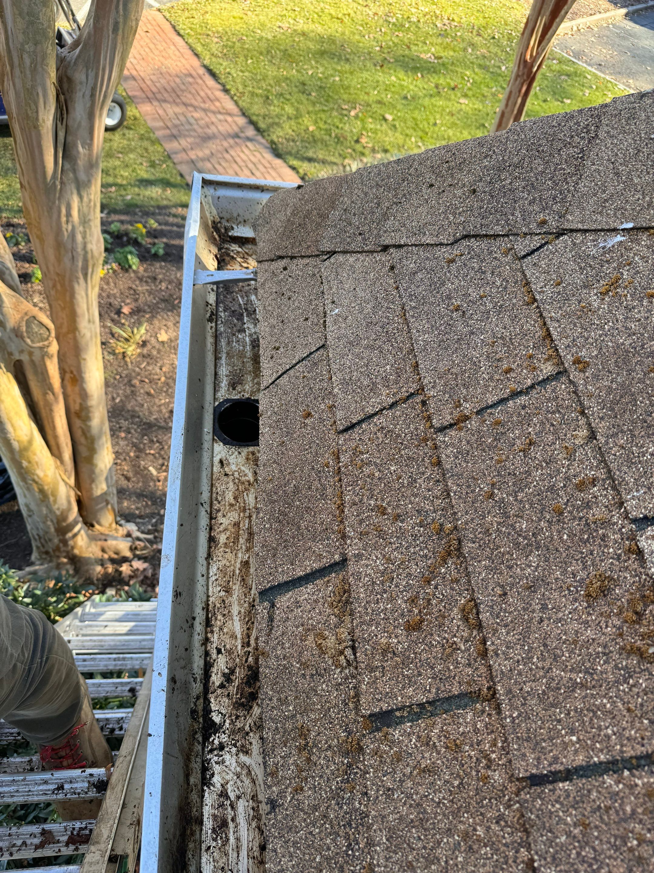 Commercial gutter cleaning Fredericksburg, VA after photo with clean gutters