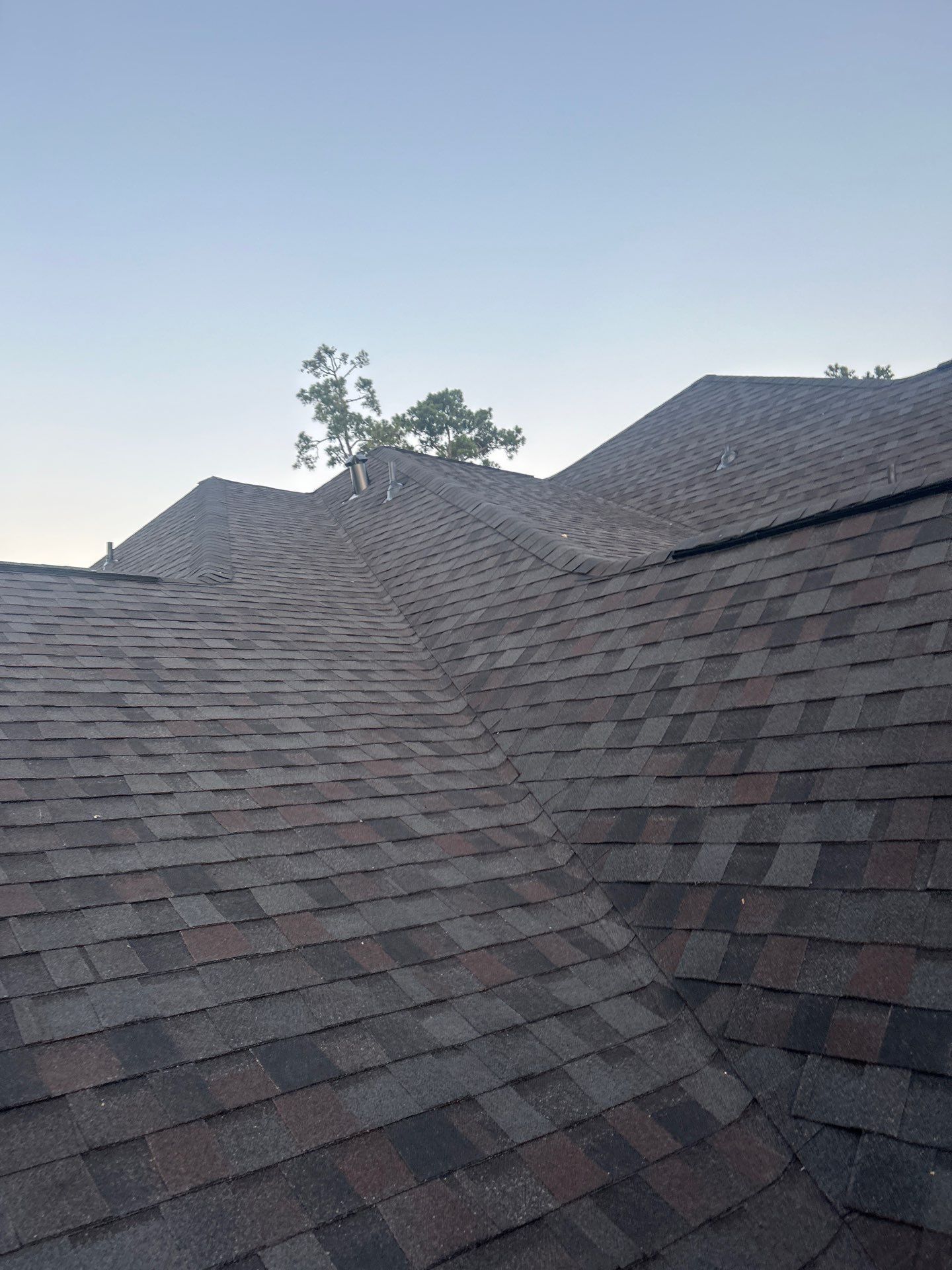 Taylor P by Boss Hogg Roofing