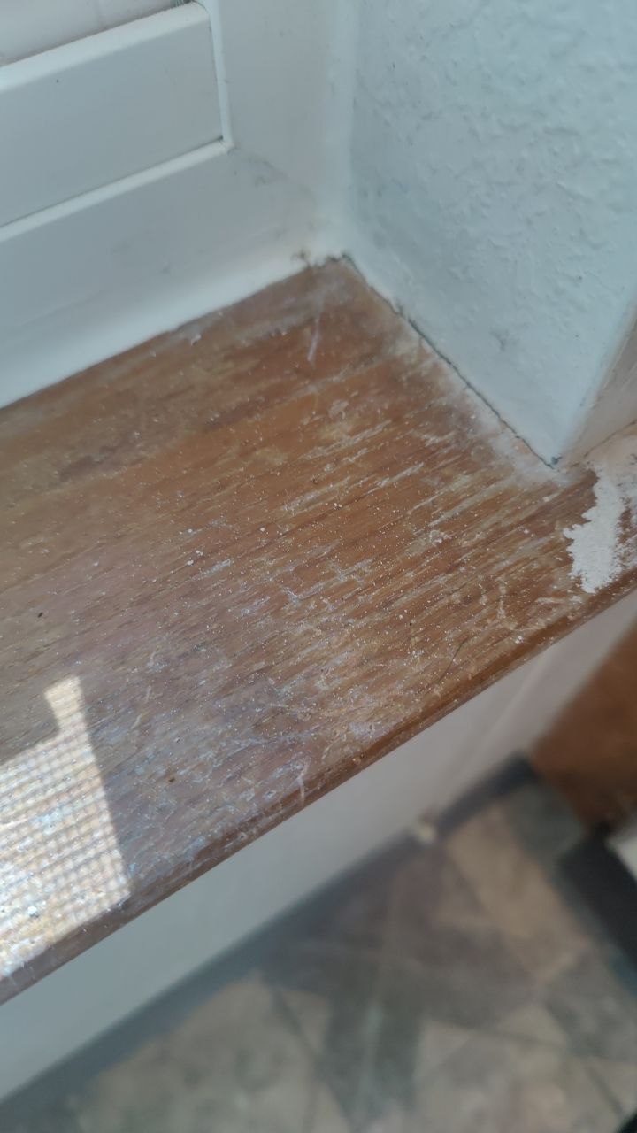 Water Damage by Accountable Home Services