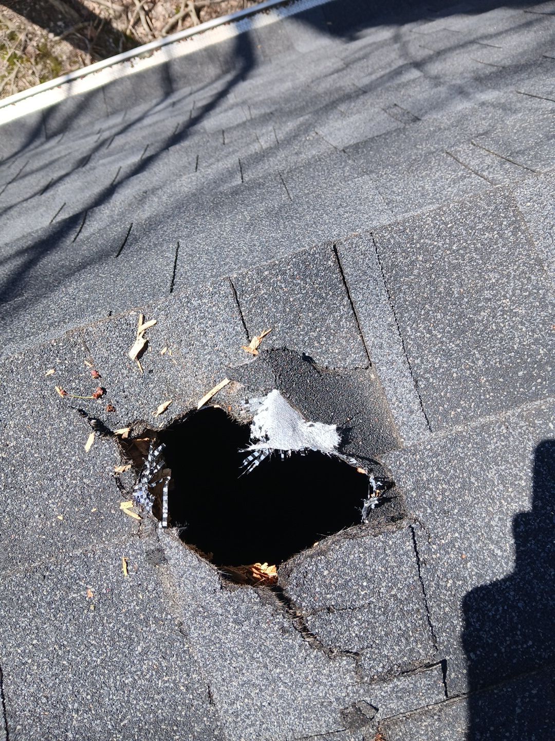 Dante M: Atlas Pinnacle, Color, Black Shadow, Drip Edge, Color, White by Eagle Eye Roofing