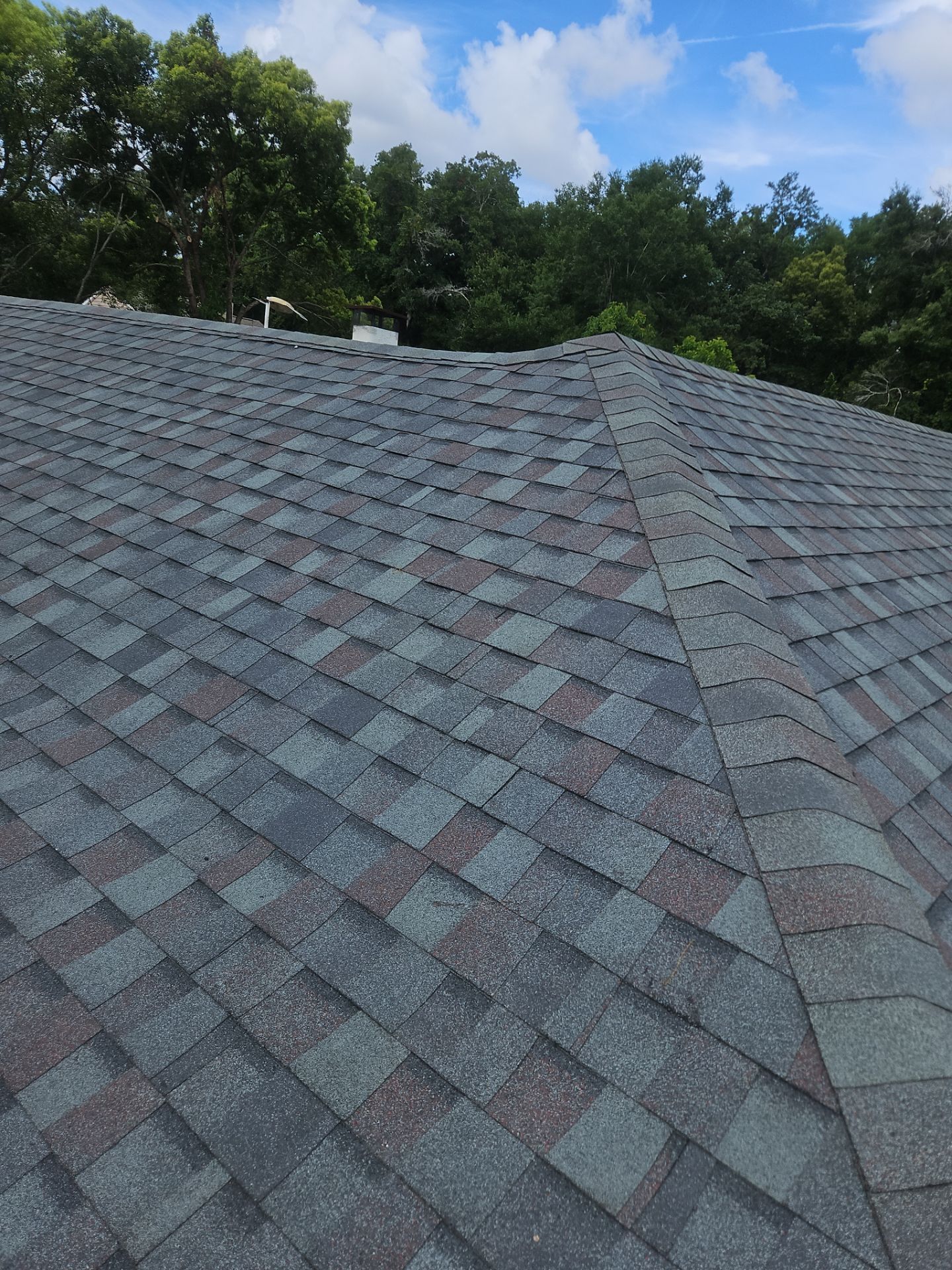 Shingle Reroof Replacement Altamonte Springs FL by Pinnacle Roofing Group