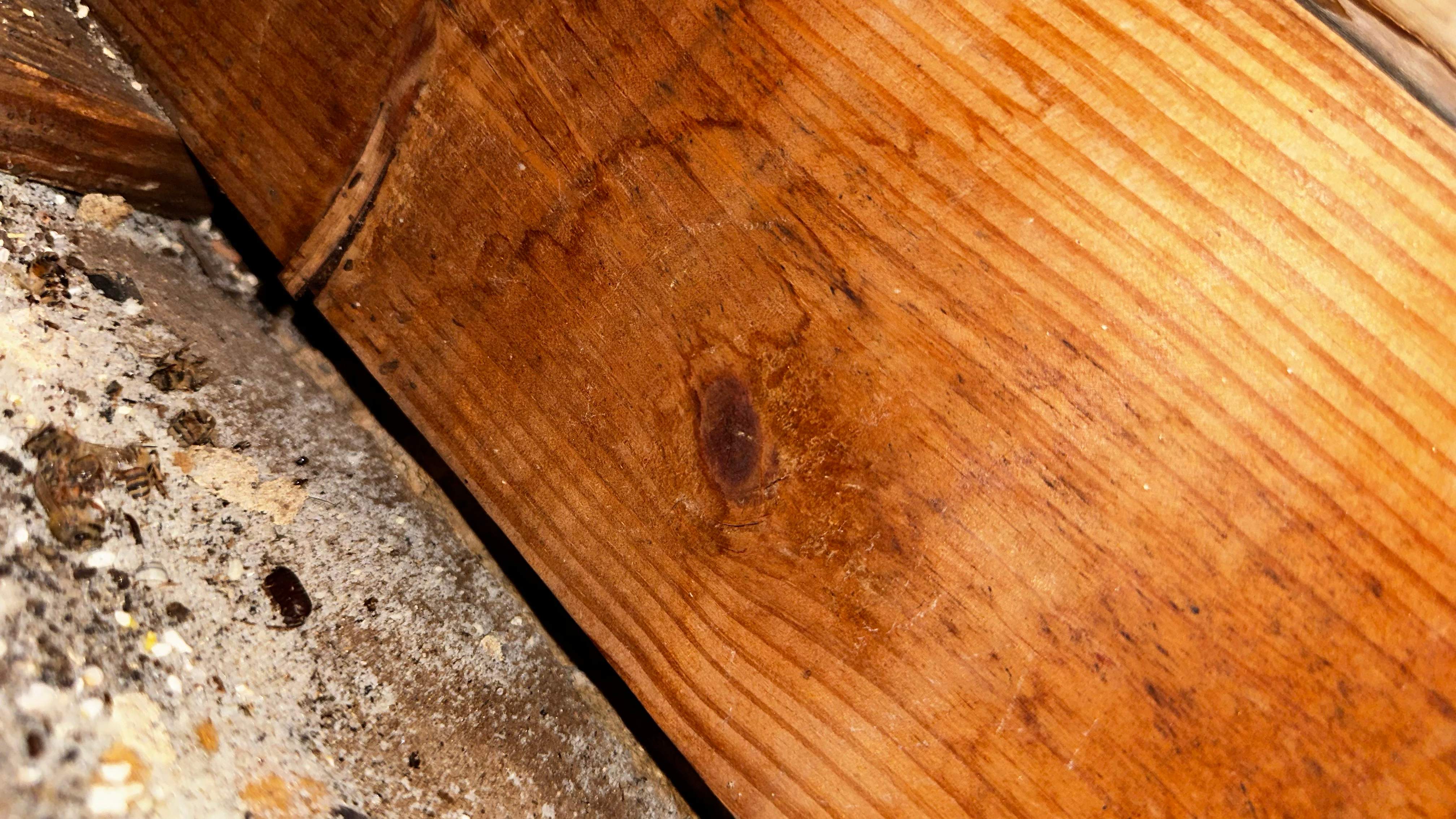 Church by Rockwall Honey Bee Company