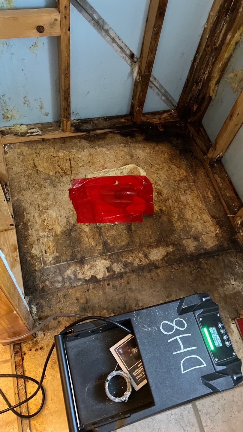 Water Damage and Mold Remediation by Accountable Home Services