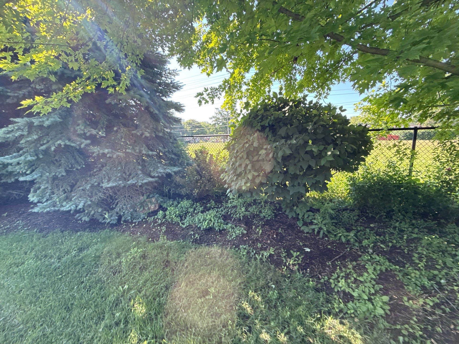 Rob M. - Arlington Heights, IL by A&N 