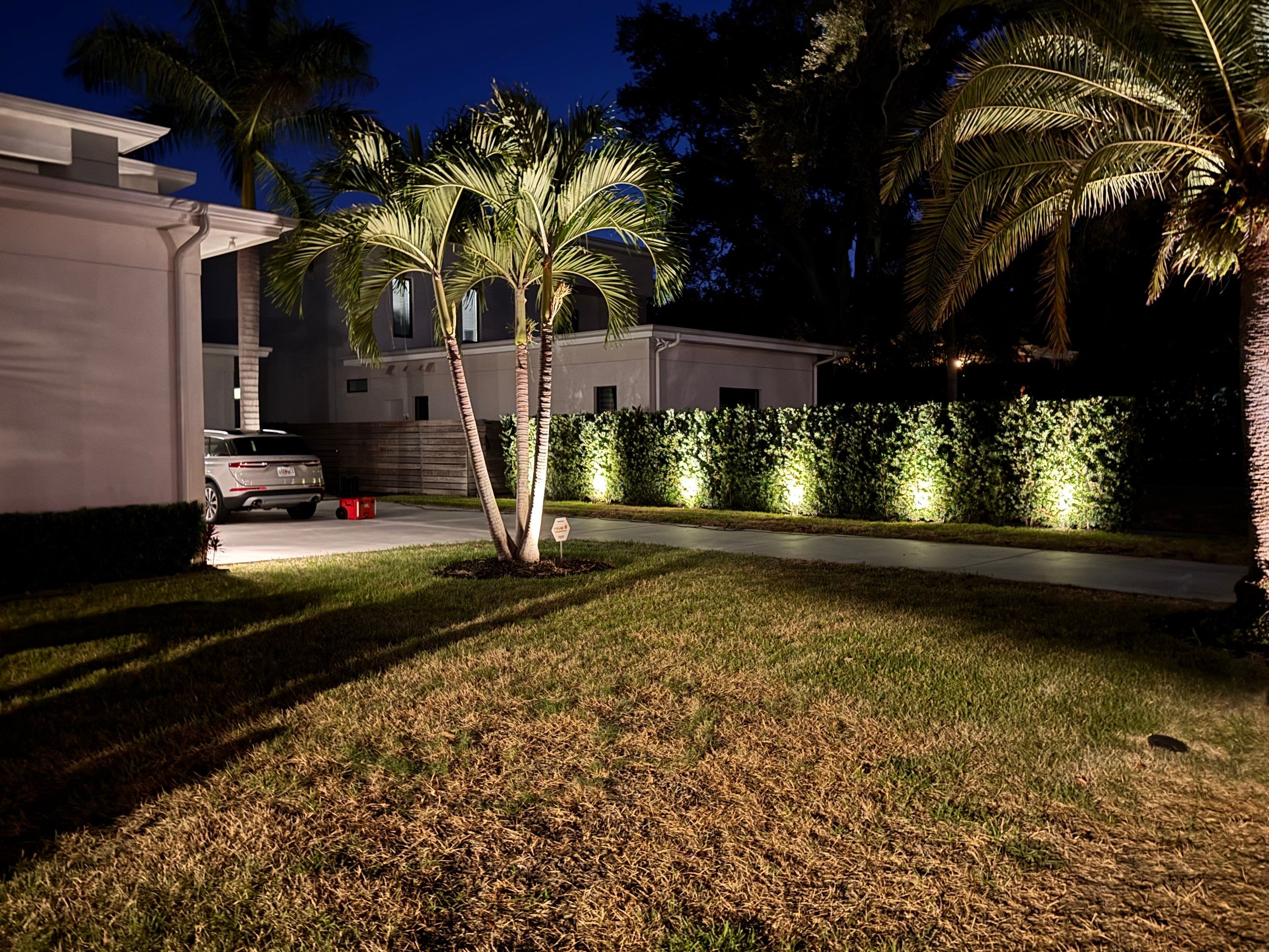Custom Outdoor Lighting and Artificial Grass Installation in Tampa by Elegant Accents
