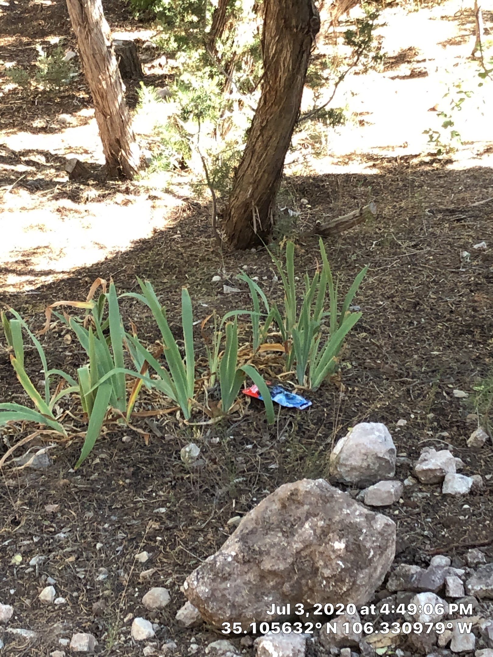 Deck Rehab by Rio Grande Building & Storage