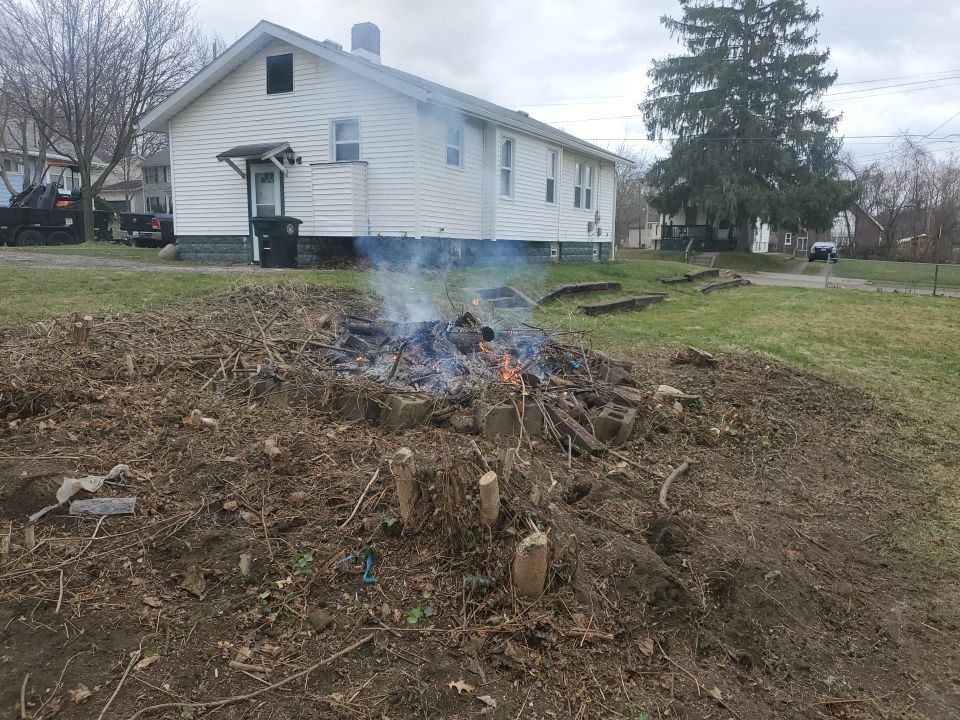 Tree Removal using Tree Removal by Mike Jones & Sons Tree Service LLC 