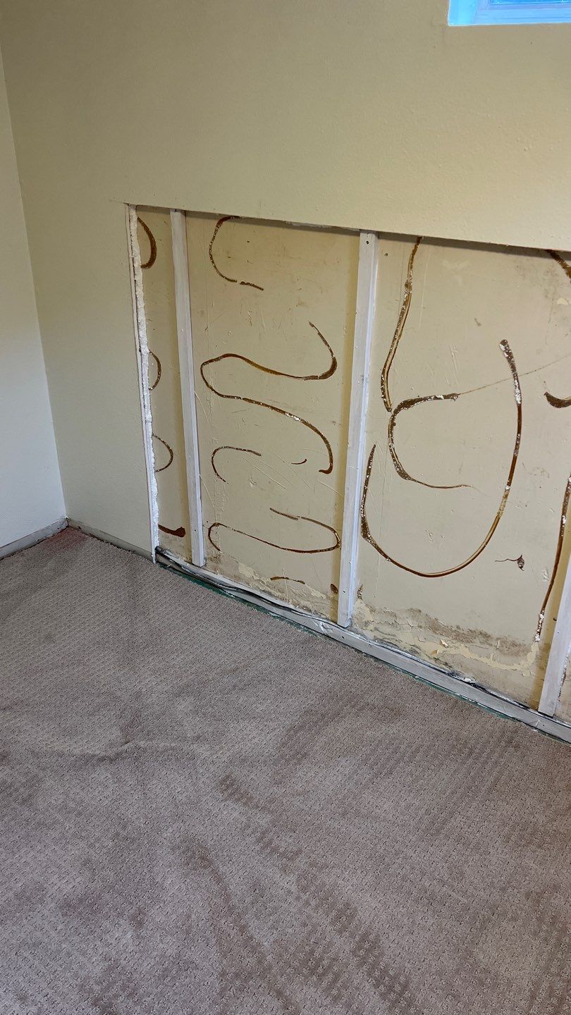Mold Remediation by Accountable Home Services