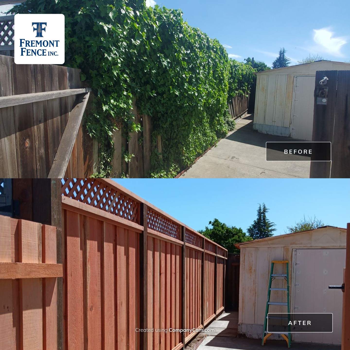 Board on Board with 1' Triple Lattice - 8' / 6' High by Fremont Fence Inc
