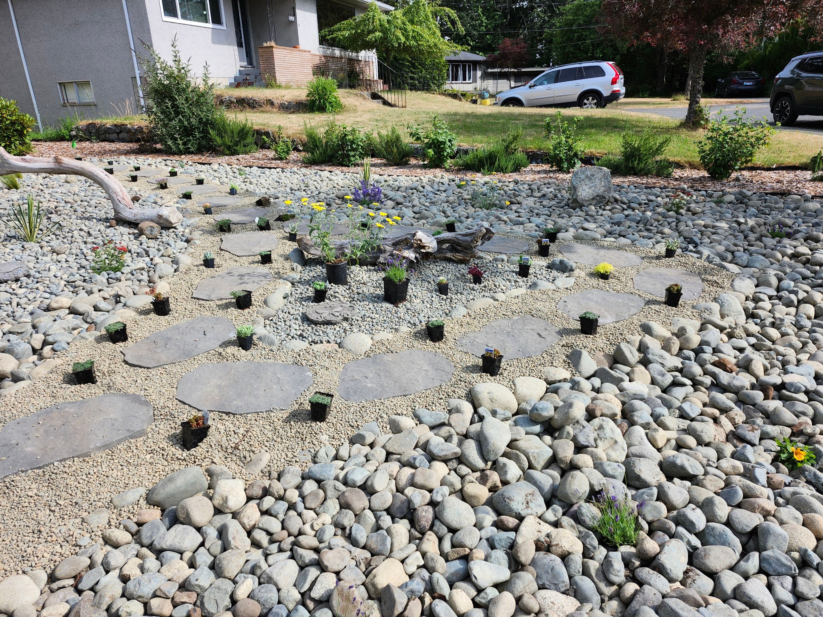 Front Yard Ecological Conversion – A West Coast-Inspired Low-Maintenance Oasis by Habanero Garden and Exterior Care