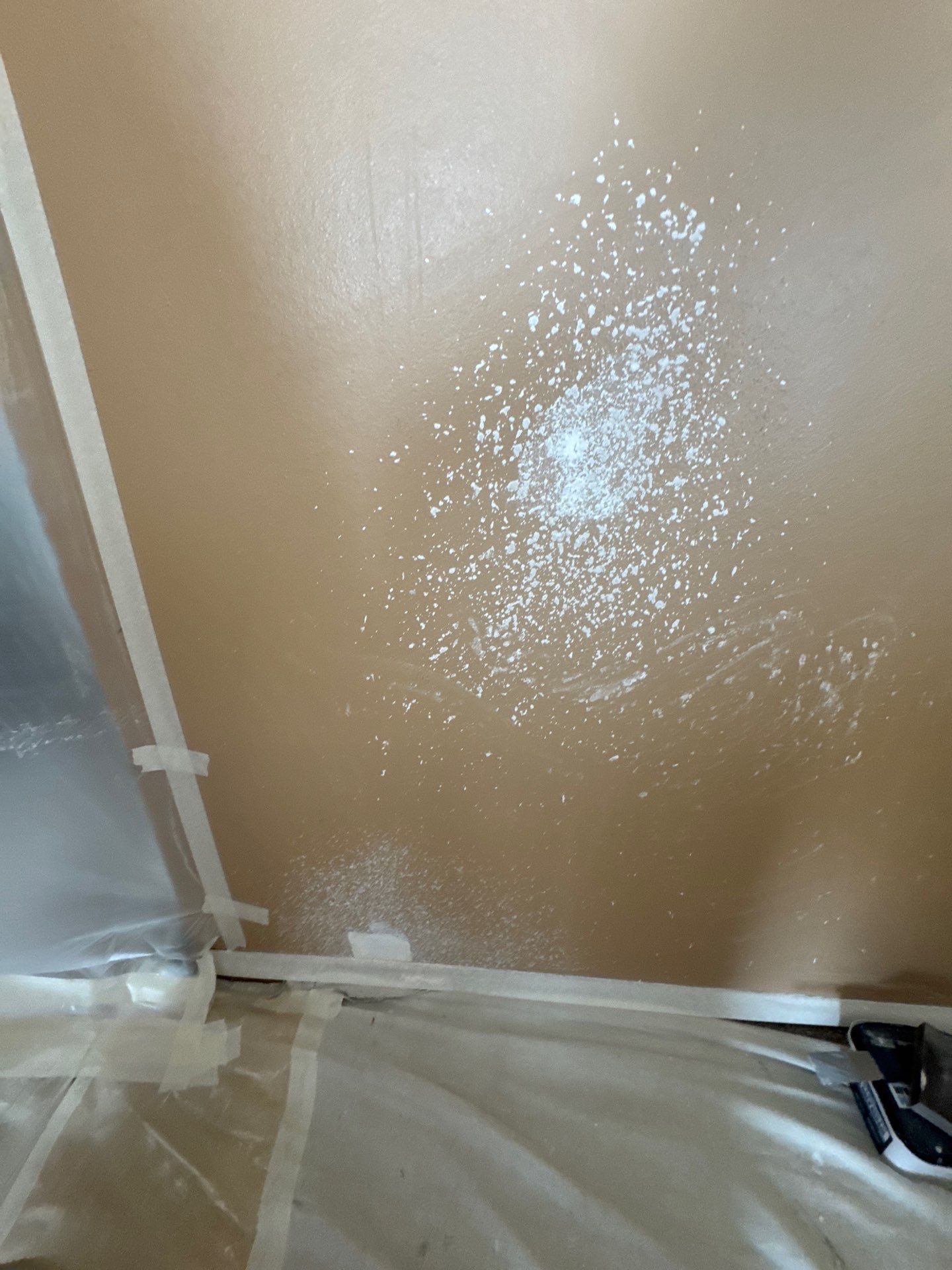 Repaint Walls and Ceiling by Midwest Paint LLC