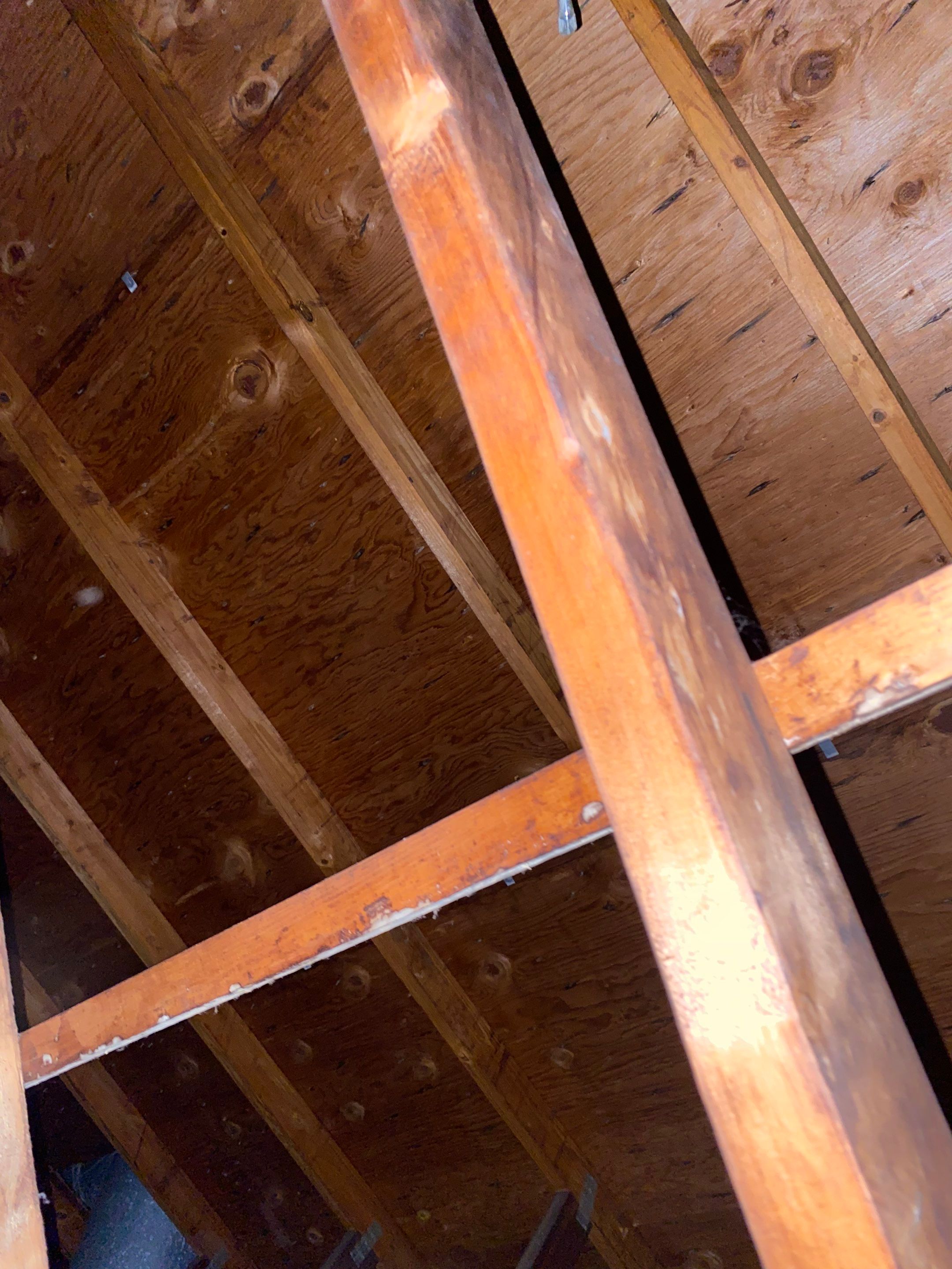 Springfield: Residential Roof Replacement with CertainTeed Landmark Pro in Max Def Burnt Sienna by RM Banning, Inc.