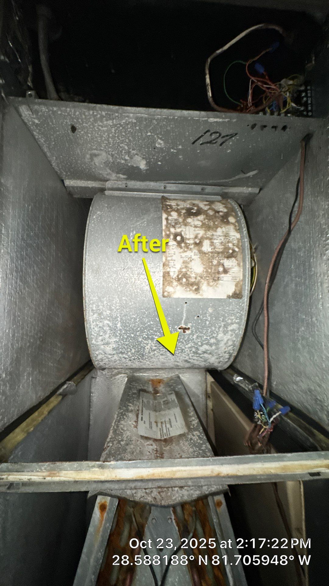 AIr Duct and Dryer Vent Cleaning in Montverde by Hygienic Air, Inc