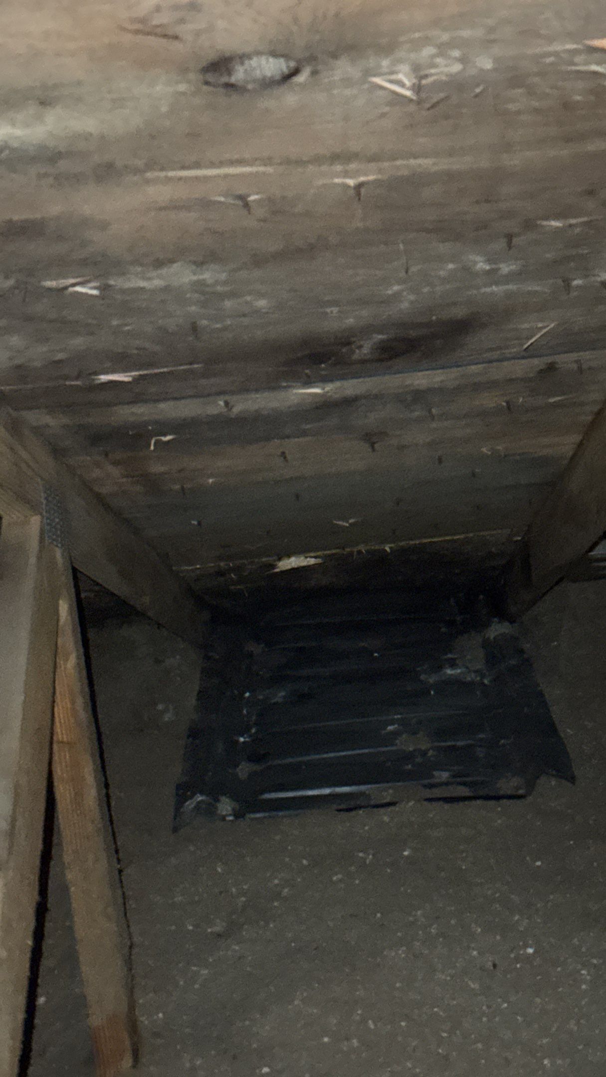 Roof Replacement using Malarkey Legacy Natural Wood by 180 Contractors