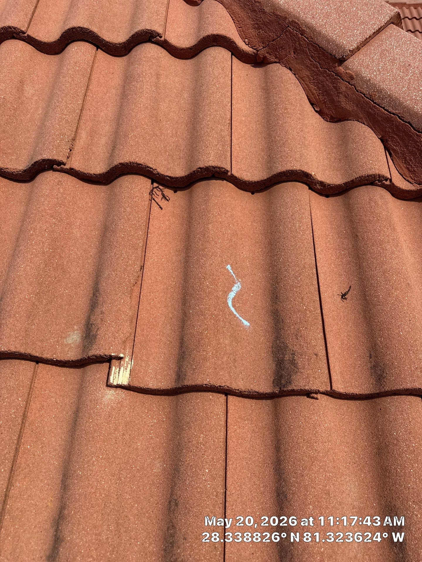 Project in Kissimmee, FL by New Horizons Roofing Inc