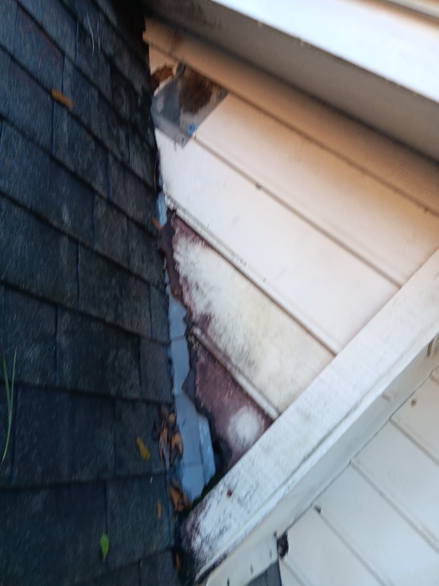 Roof Repair Spring by Roof Repair Company