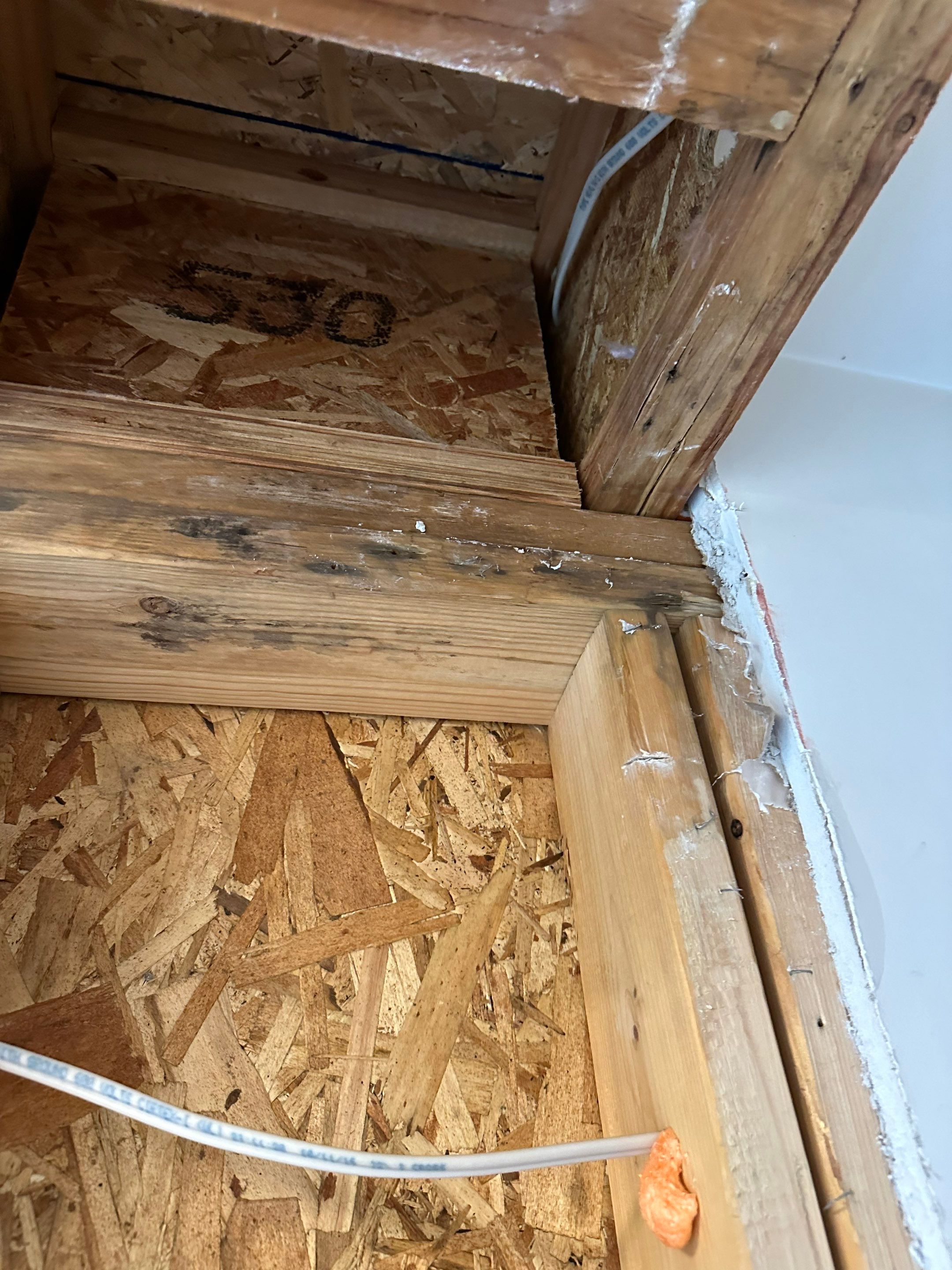 Water Damage in Denver, CO by Alpha Restoration 