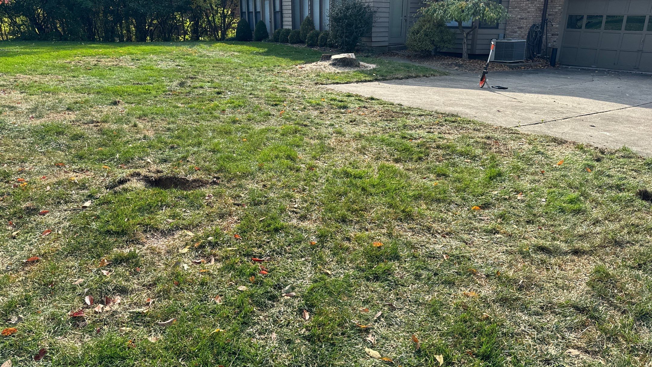 Turf Restoration using LEED Certified Sod by Reisenberg’s Lawn & Landscape, LLC