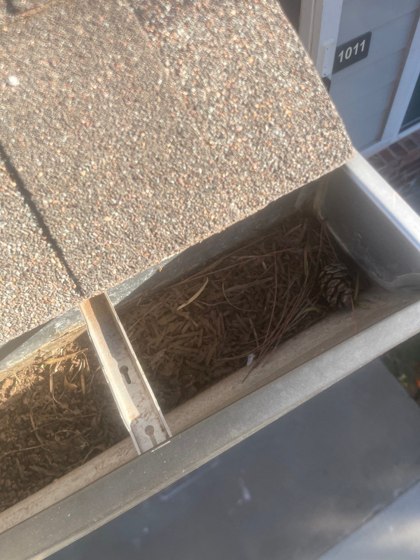 HOA gutter cleaning before photo.