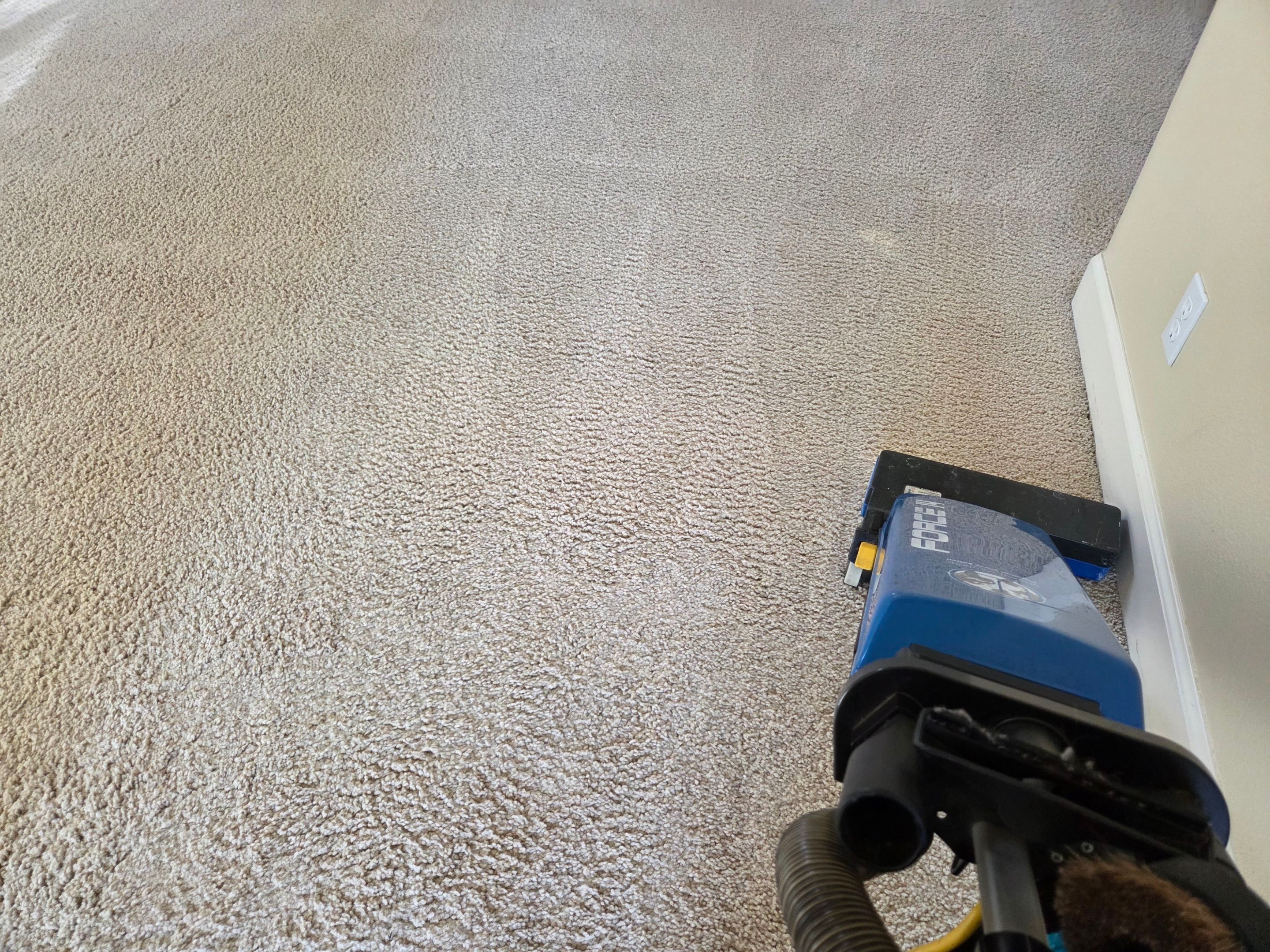 Carpet Cleaning and Stain Removal in Shingle Springs by Ardent Carpet Restore LLC