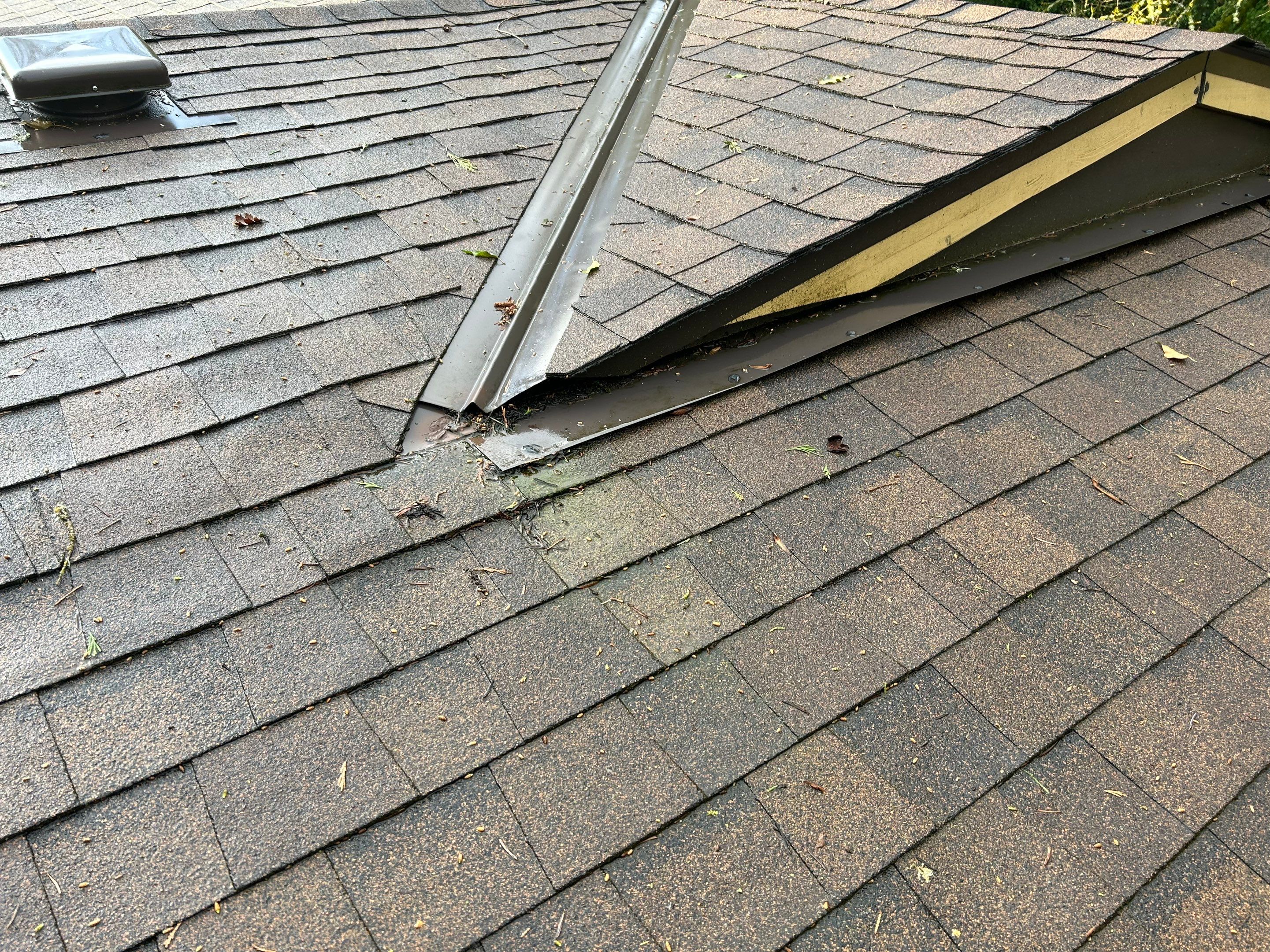 Emergency Leak Repair in Portland by Prodigy Roof Solutions