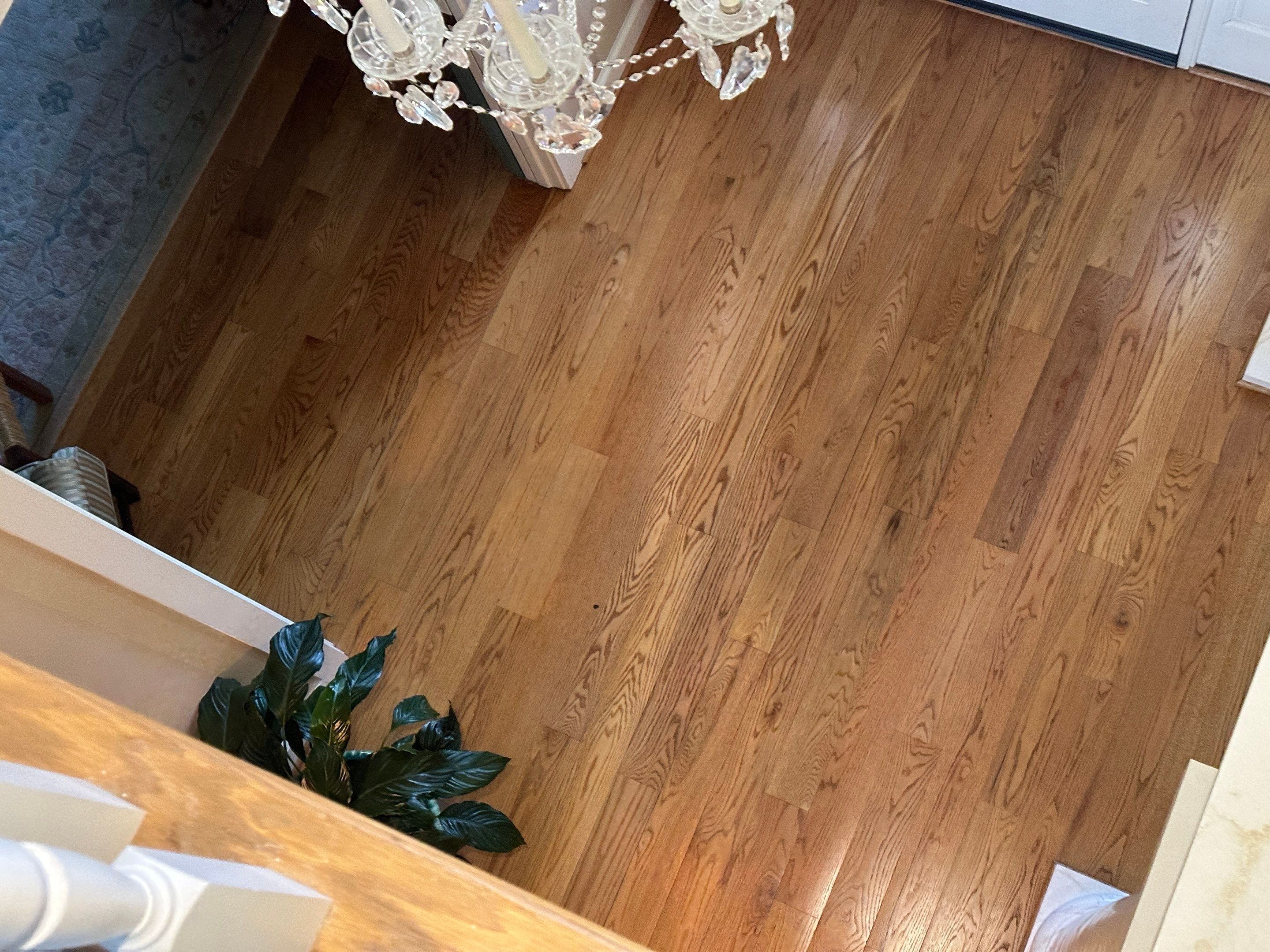 Water Damage Claim in Fernandina Beach by FLAPA & KeyStone