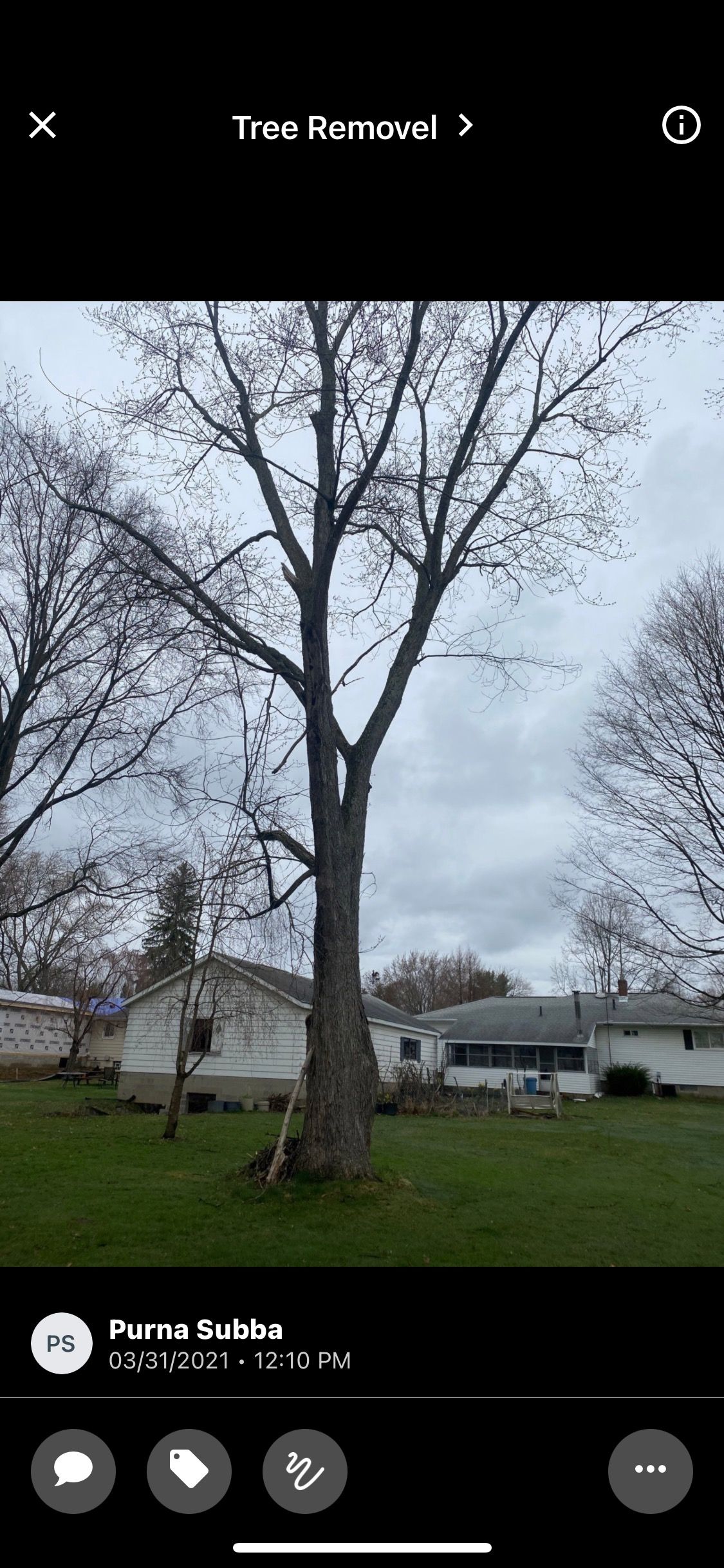 Tree Removal using Tree Removal by Mike Jones & Sons Tree Service LLC 